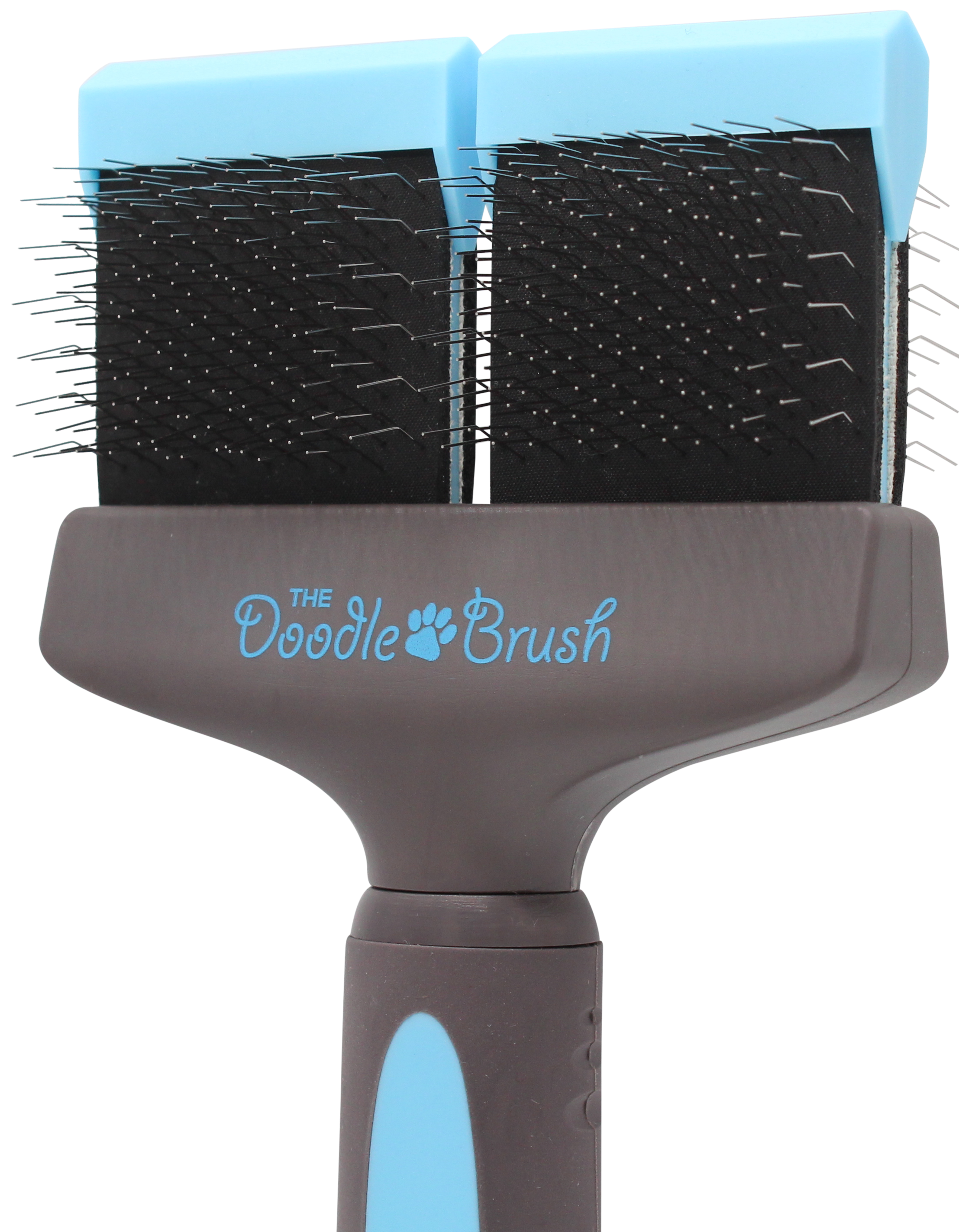 Best dog outlet brushes for goldendoodles